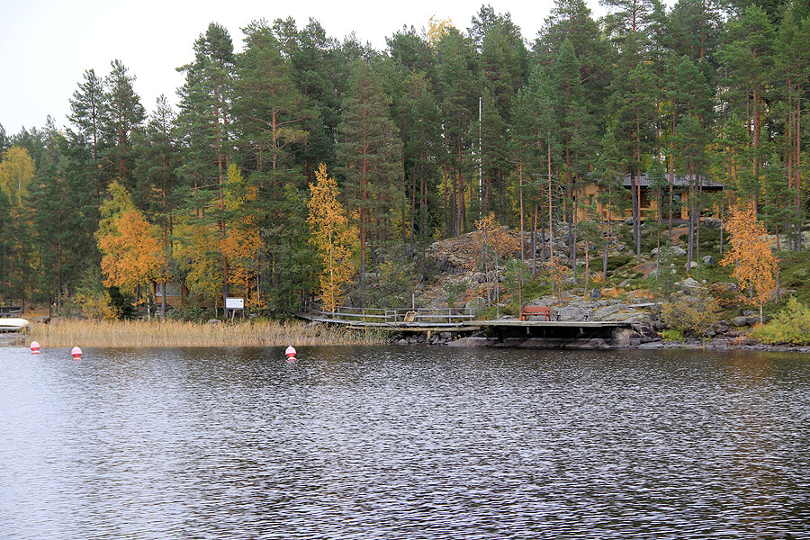 rasvasaari
